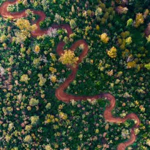Piombino (LI) 28-29 marzo